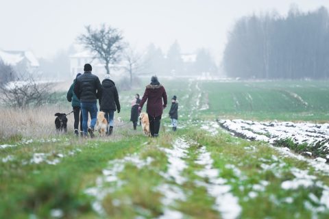 foster family walking